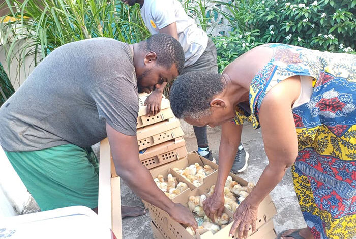 Gov’t to Unleash ‘Nkokɔ Nketenkete’ in July