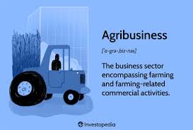 Ghana Nears Completion Of National Agribusiness and Agro-Processing Policy
