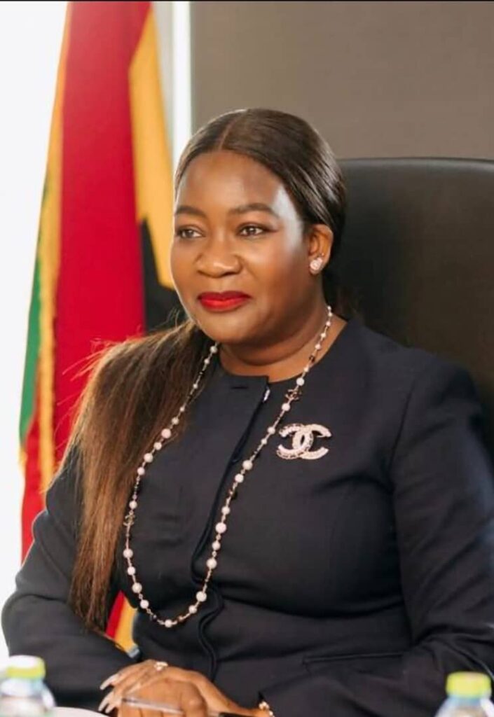 Resignations Do Not Undermine MIIF Governance or Workflow – Labour Expert