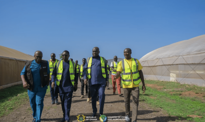 Agric Minister Visits Maphlix Farms as Ghana Pushes to Strengthen Domestic Tomato Production