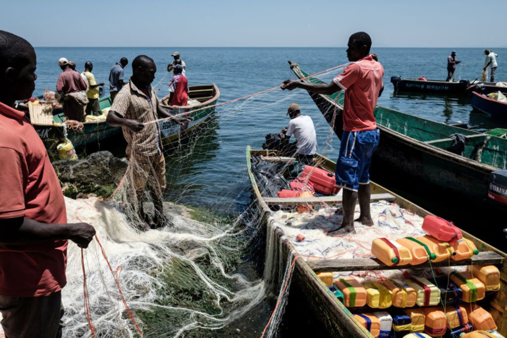 Protecting Ghana’s Fisheries, Health and Human Security: Why the Fight Against Chemical Fishing Must Become a National Emergency