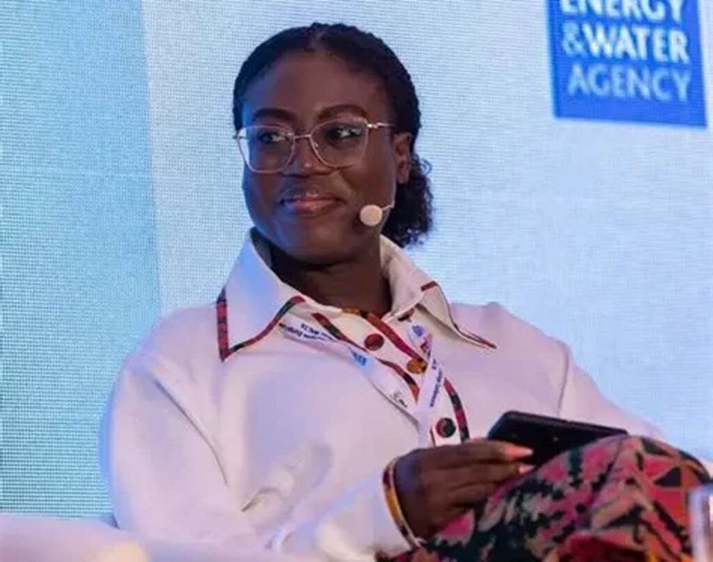 Africa Losing It’s Mineral Gains Through Bilateral Agreements – Pauline Anaman