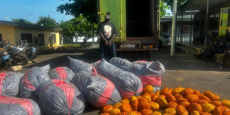 Police Intercept 12 Sacks, 80 Parcels of Suspected Indian Hemp on Tema–Ada Road, Driver Busted