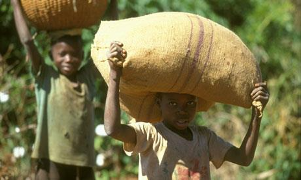 ONE MILLION GHANAIAN CHILDREN TRAPPED IN LABOUR – RIGHTS BODY