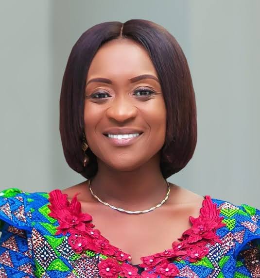 PAC Chair Praises NPA Chief Executive’s Performance at Committee Hearing